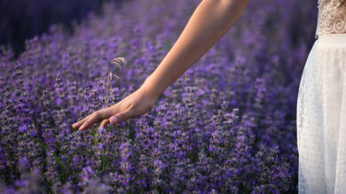 8 Prodotti Beauty all’inebriante profumo di Lavanda. Ecco i più buoni…