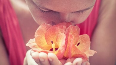 6 Profumi Solidi da tenere assolutamente in Borsetta. Non lasciarteli sfuggire!