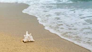 Le migliori Spiagge Nudisti d’Italia. La nostra Top 4!