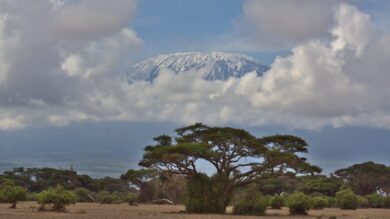 Vacanze in Africa: 3 destinazioni per un viaggio da sogno