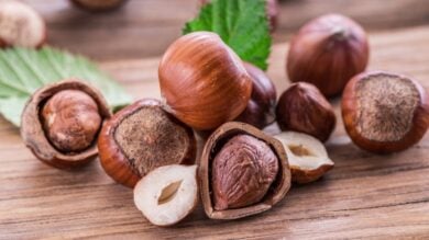 Olio di Nocciola, usi e benefici per Pelle e Capelli