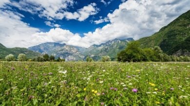 Questo è il Borgo della Valtellina più bello per godersi una gita autunnale!