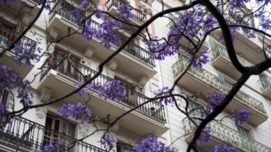 Prepara il tuo Balcone all’arrivo della Primavera: Idee e suggerimenti