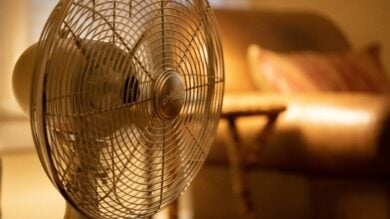 Condizionatore o Ventilatore? Una scelta da fare ora per un’estate fresca e rilassata