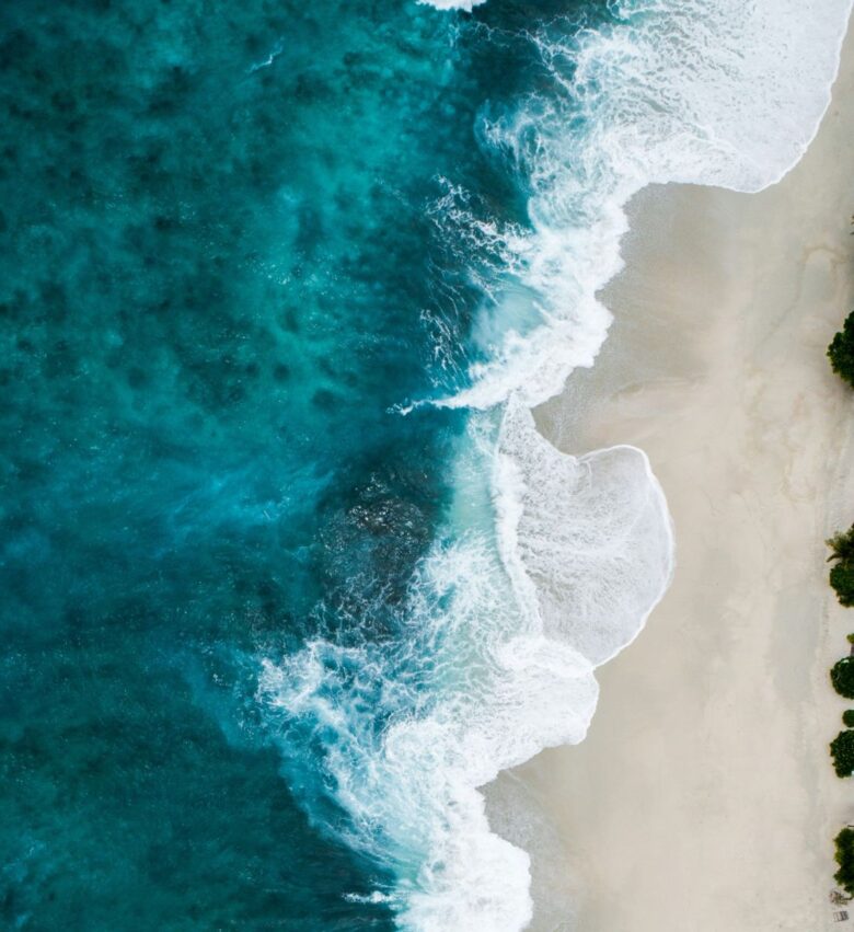 oceano ecosistema