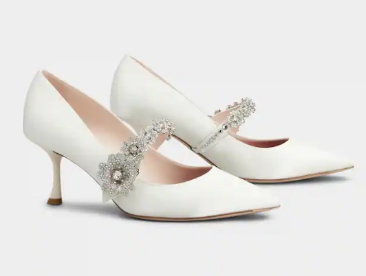 roger vivier scarpe 