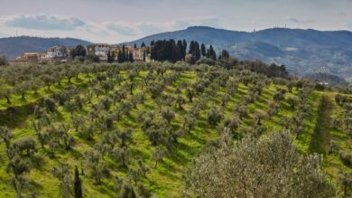 Tutto sull’incantevole borgo Toscana in cui Ignazio Moser e Cecilia Rodriguez hanno detto Sì