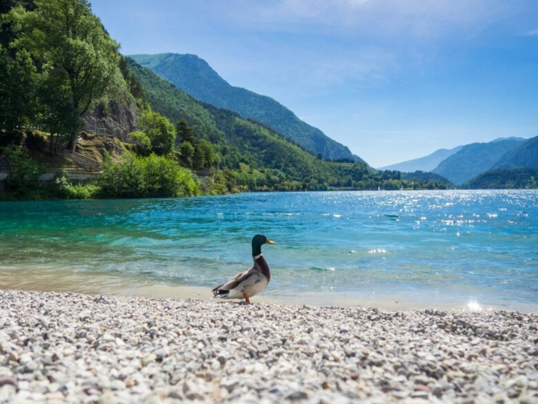 Lago Di Ledro