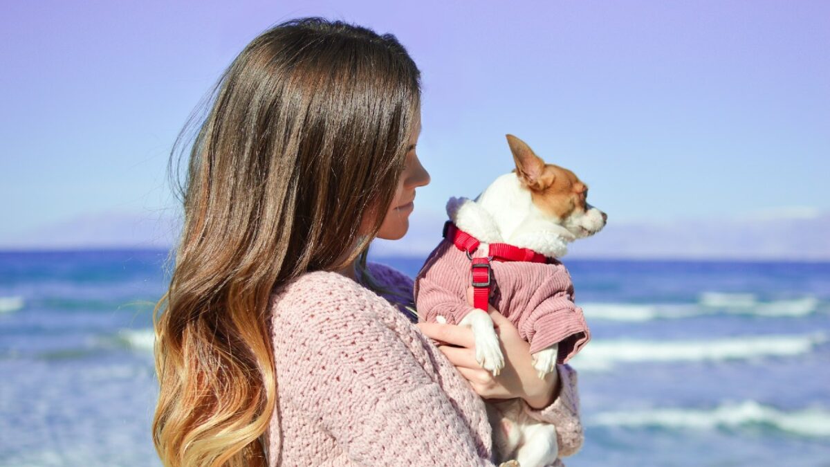 In vacanza con Fido: ecco dove vivere un’esperienza a 5 stelle anche per il tuo cane!