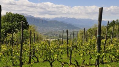 Un incantevole Borgo nella celebre “Langa del Barolo” da scoprire in Autunno