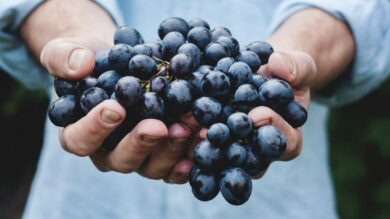 Un splendido Borgo del Vino a pochi passi da Pescara: l’eccellenza italiana da scoprire ora!