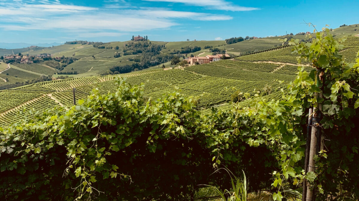 Un favoloso borgo nelle Langhe dove mangiare e bere bene