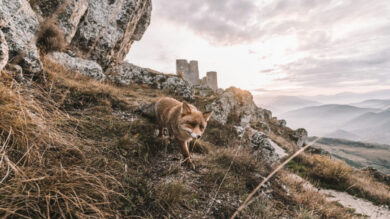 Lo chiamano la porta della Maiella, un incantevole Borgo Abruzzese da vivere in Autunno