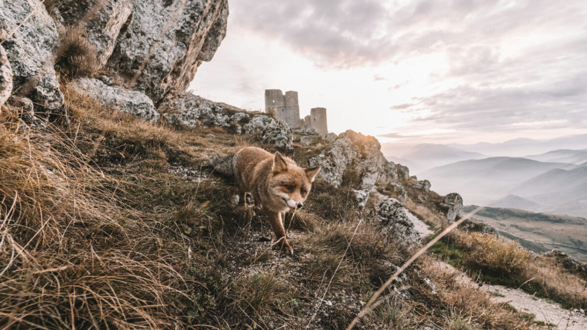 Lo chiamano la porta della Maiella, un incantevole Borgo Abruzzese da vivere in Autunno