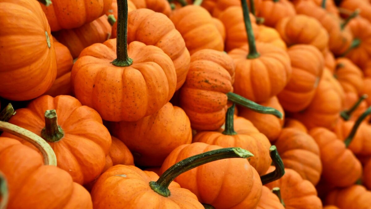 Cosmetici alla Zucca: i must have di Bellezza per Halloween