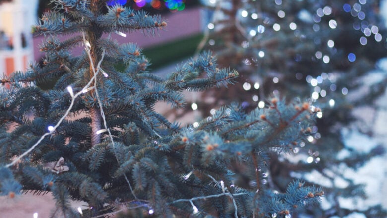 Natale nelle Marche: i Borghi e i paesi più suggestivi in cui vivere l’incanto delle Feste