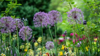 È uno dei giardini più romantici d’Italia, scoprilo in Primavera…