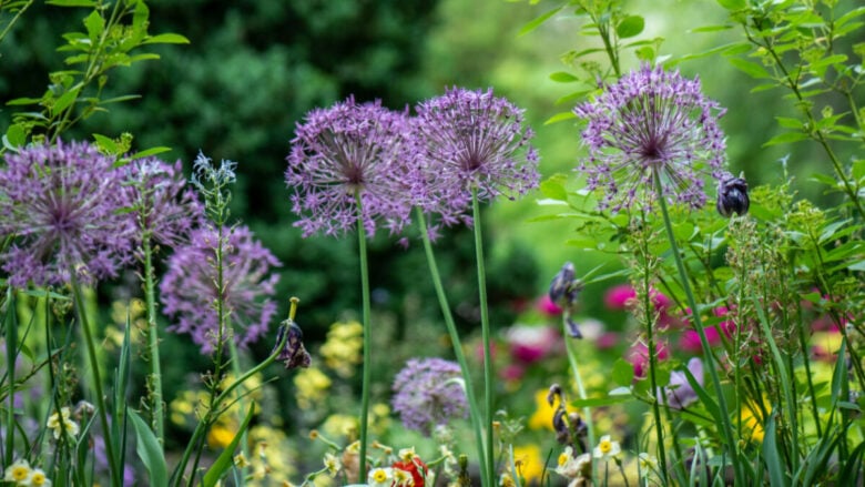 È uno dei giardini più romantici d’Italia, scoprilo in Primavera…