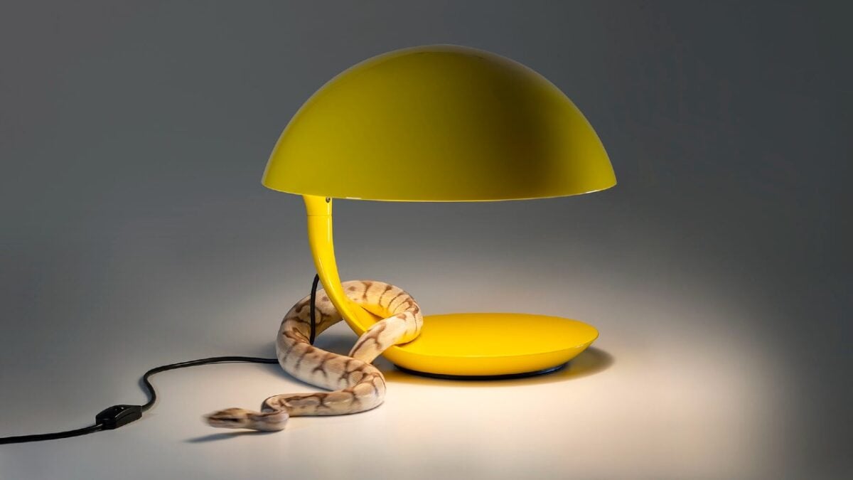 Martinelli Luce: le lampade più iconiche del celebre marchio di design